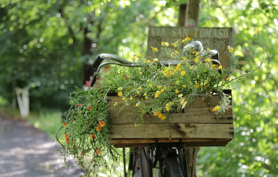 Pedalando per i sentieri dell'Uso