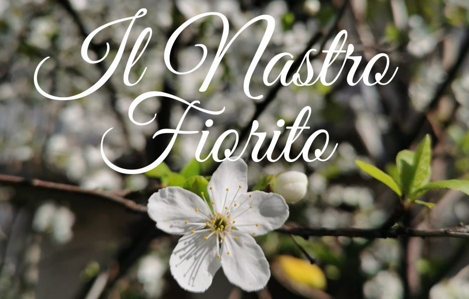 Pasqua in fiore:
