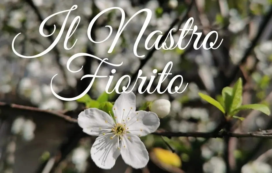 Pasqua in fiore: