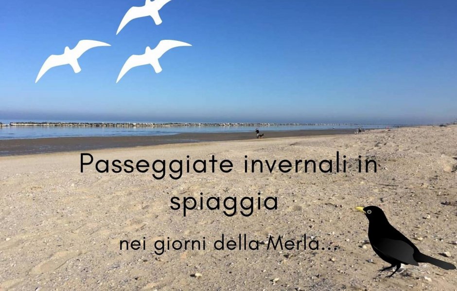 "I giorni della Merla" in riva al mare... "I giorni della Merla" in riva al mare...